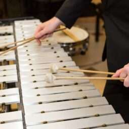 Demo Orchestra Percussionist