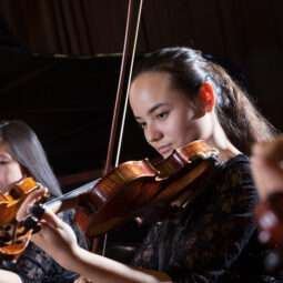 Demo Orchestra Violinist